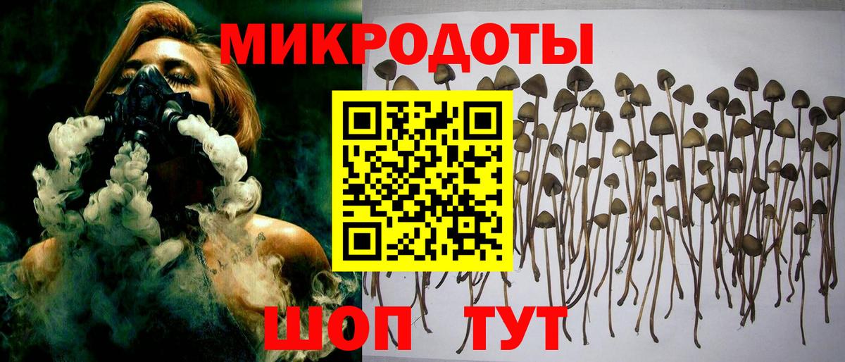 Белая Калитва  Галлюциногенные грибы ЛСД  Вход с VPN 