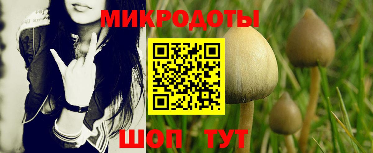 Галлюциногенные грибы мухоморы Белая Калитва